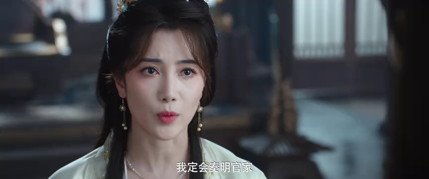 将军家的小儿子 17集