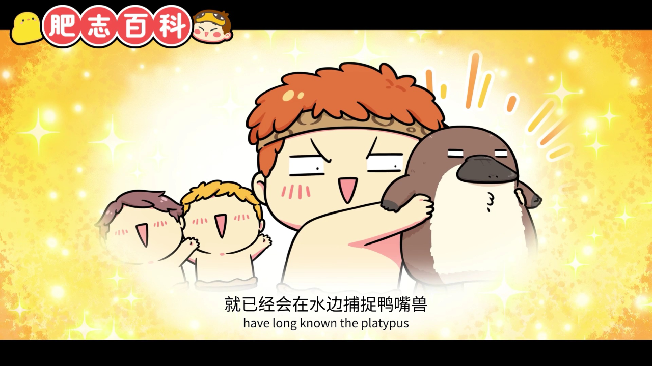 肥志百科第13季 11集