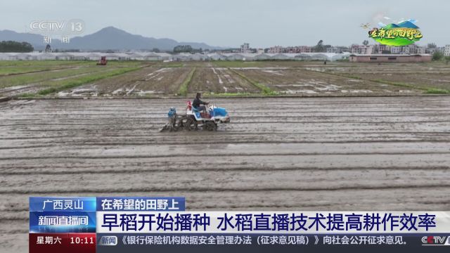 在希望的田野上 广西灵山 早稻开始播种 水稻直播技术提高耕作效率