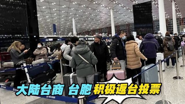 大陆台商、台胞积极返台投票:希望为台海和平尽一份心力