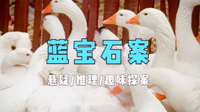 经典入门级探案作品,丝丝入扣的推理过程,既逻辑缜密又趣味十足