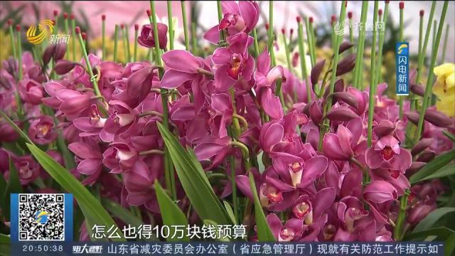 各地年宵花迎销售旺季,市民畅游花海选购鲜花,拉动“美丽经济”