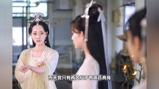 沉香如屑:我的观影报告