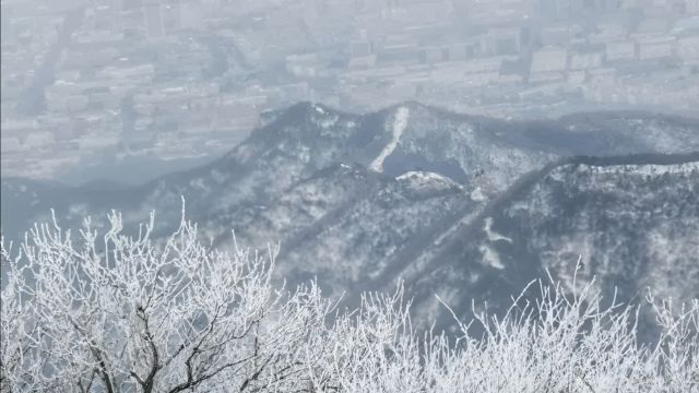 突降大暴雪!泰山景区于2月15日凌晨6点封山