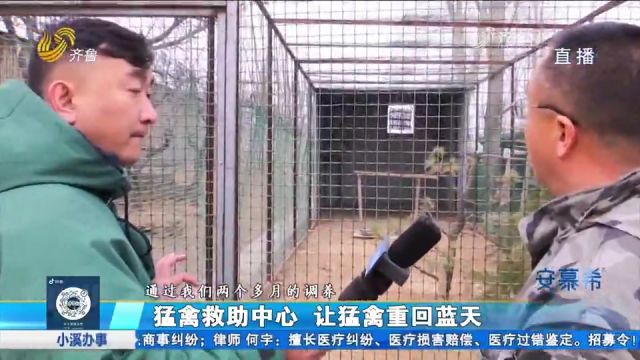 莱芜翱翔猛禽救助中心:累计帮助2000余只野生动物回归大自然