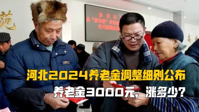 河北2024养老金调整细则公布,养老金3000元,涨多少?