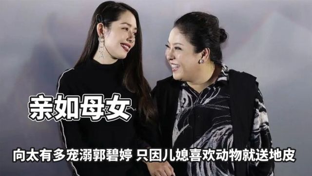 向太有多宠溺郭碧婷?只因儿媳喜欢动物就送地皮,手机屏保都是她