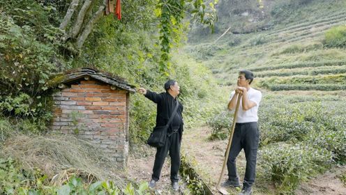 为保护野生桂花树不被村民挖走卖钱，老专家树下修土地庙：不科学，但有效！