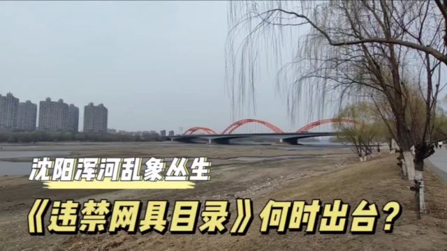 沈阳浑河乱象丛生,《违禁网具目录》何时出台?