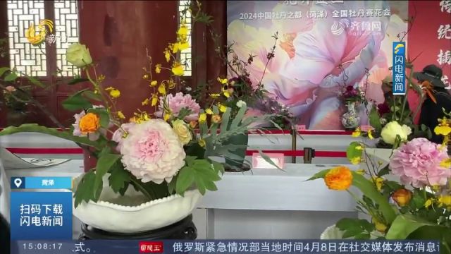 2024中国牡丹之都(菏泽)全国牡丹赛花会:900余件精品同台竞艳