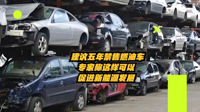 建议五年内禁售燃油车?专家称这样可以加快新能源发展