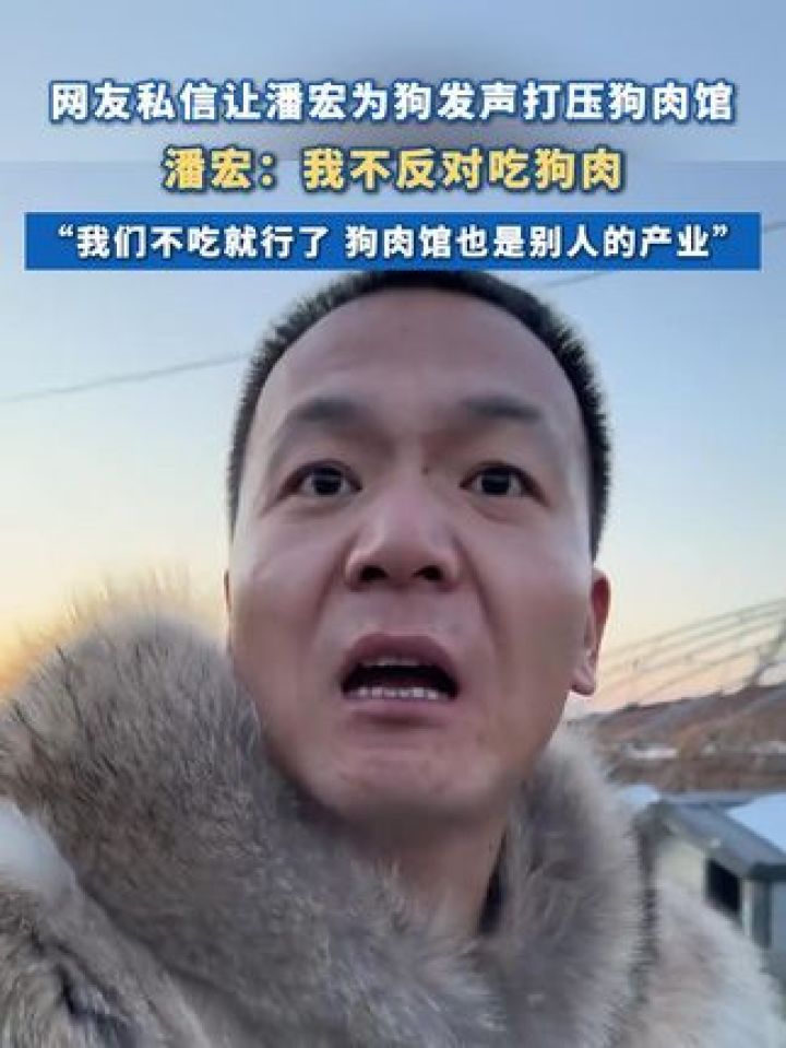 #潘宏表态自己不反对吃狗肉:“我们不吃就行了狗肉馆也是别人的产业”#潘宏爱玩狗#狗狗#社会百态_高清1080P在线观看平台_腾讯视频