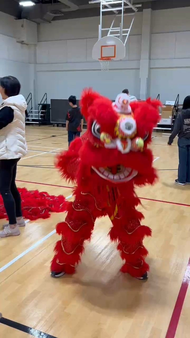 舞狮2_高清1080P在线观看平台_腾讯视频