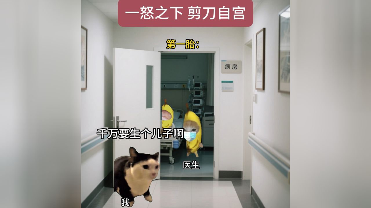 “狠人狠人”#猫meme#猫meme小剧场_高清1080P在线观看平台_腾讯视频