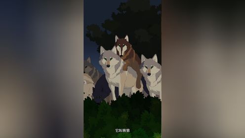 传说中的狈本故事纯属虚构_高清1080P在线观看平台_腾讯视频