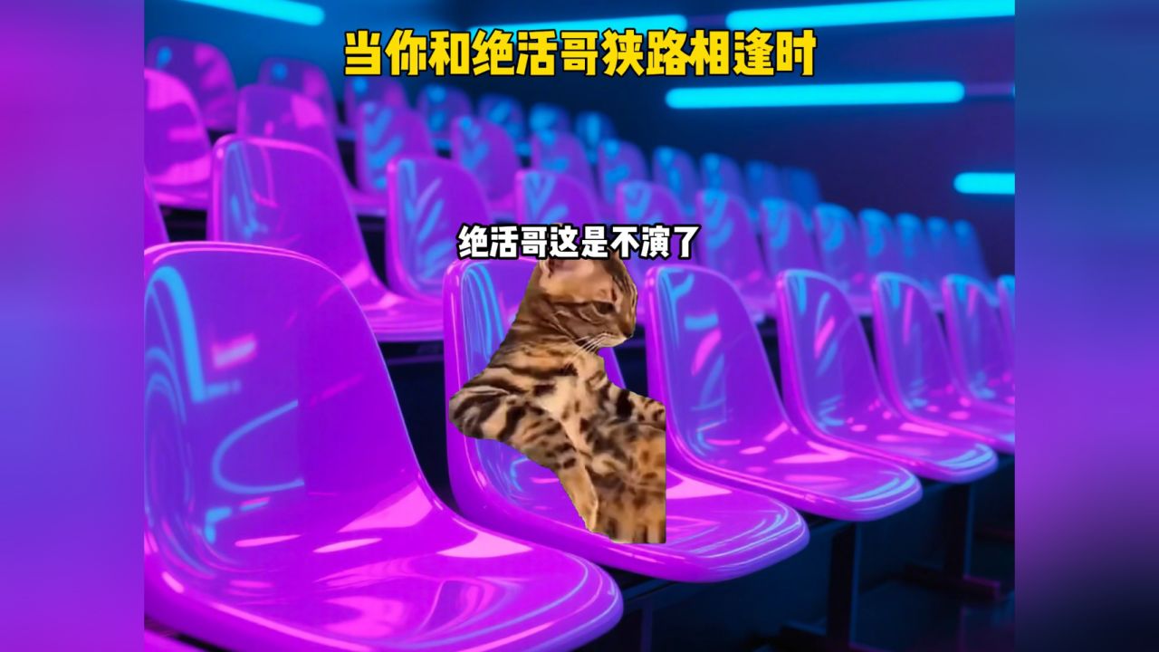 十日终焉#猫meme小剧场#音乐分享_高清1080P在线观看平台_腾讯视频