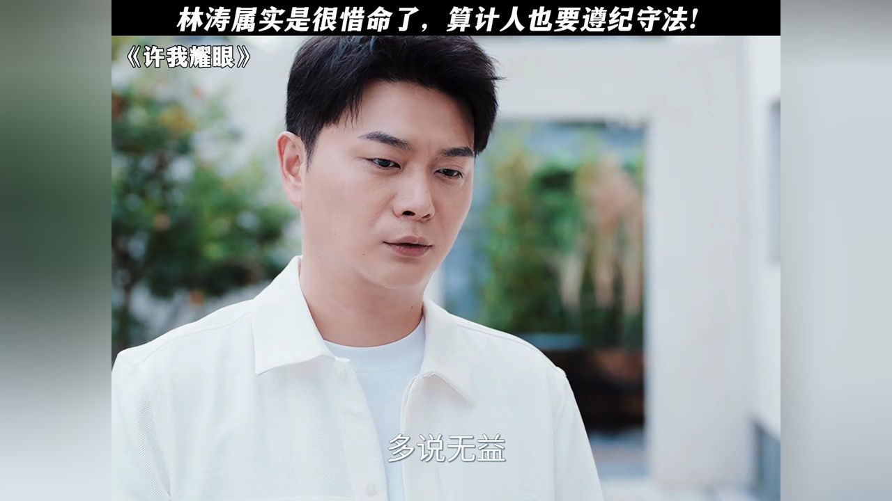林涛属实是很惜命了，算计人也要遵纪守法！#许我耀眼#万鹏_高清1080P在线观看平台_腾讯视频
