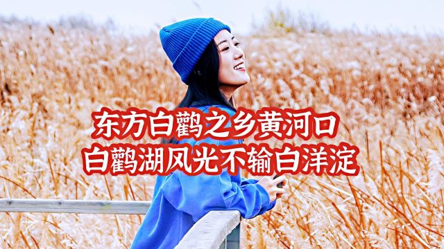 “候鸟天堂”东营黄河口,白鹳湖万鸟飞腾,壮美风光不输白洋淀