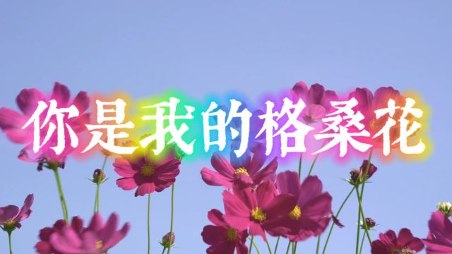 你是我的格桑花  金曲推荐