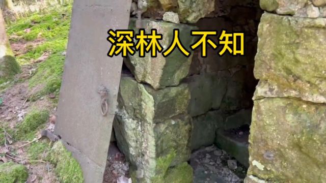 深林人不知:秘密基地挖出青铜器皿