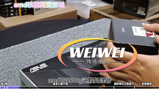 AMD R55600G核显配置:性价比与性能的完美结合