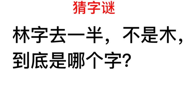 猜一字,林字去一半,不是木是什么?