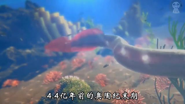 这是一只小“海螺”成长为海洋霸主的故事奇妙的动物冷知识