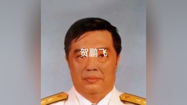 贺龙元帅之子