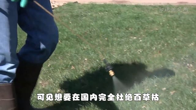 被称为“死亡之水”,被20多个国家禁售,百草枯到底有多恐怖? 3