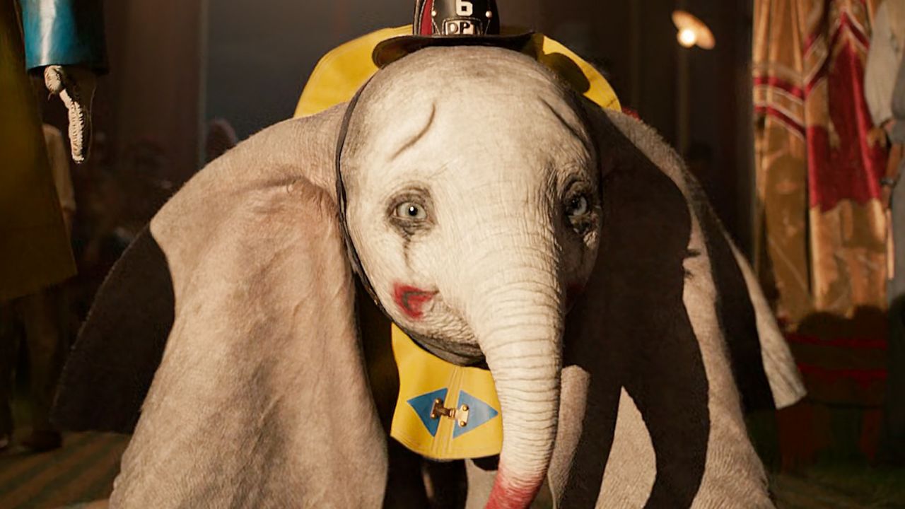 马戏团小象上演顶级表演,惊呆众人.