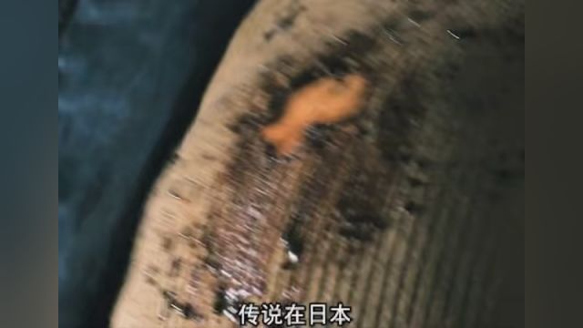 第10集|《吸血黏土》当年差点吓出人命的日本恐怖片,它来了 #快看海外片 #吸血黏土 #恐怖