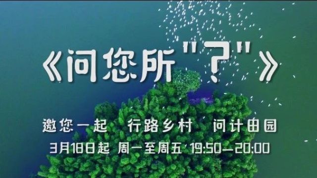 问您所“?” | 青神柑橘搭上科技新快车