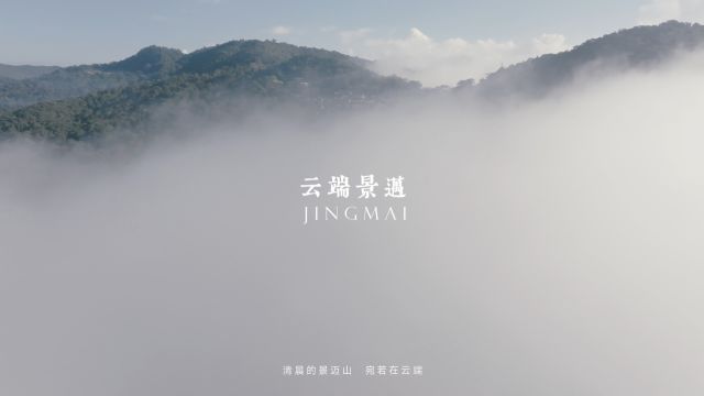 家住云端是一种怎样的体验?苍茫云海间,云端景迈山~