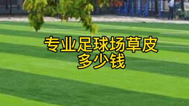 门球场人造绿化草坪:为门球运动注入新活力