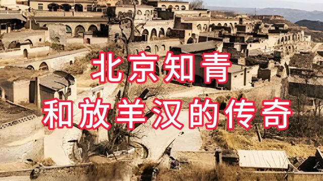 北京知青和放羊汉传奇,50多年前插队山西忻县奇村北京知青和放羊汉的故事