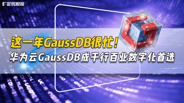 这一年GaussDB很忙!华为云GaussDB成千行百业数字化首选