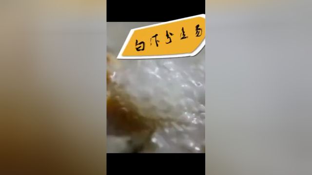 平湖这几道菜上央视啦!2447