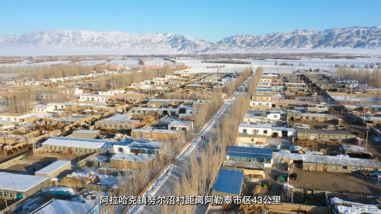 文明创建成果巡礼——文明乡村篇(阿勒泰市阿拉哈克镇努尔沼村)