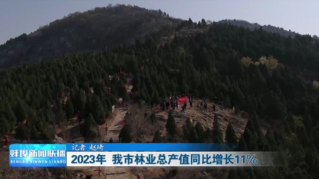 2023年 我市林业总产值同比增长11%