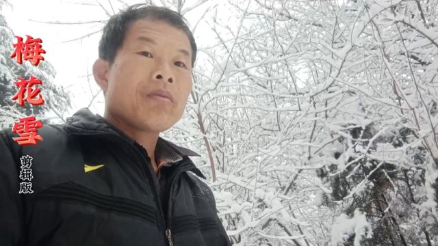 怀旧经典老歌《梅花雪》