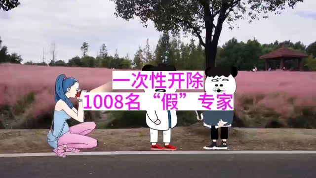 一次性开除1008名“假”专家