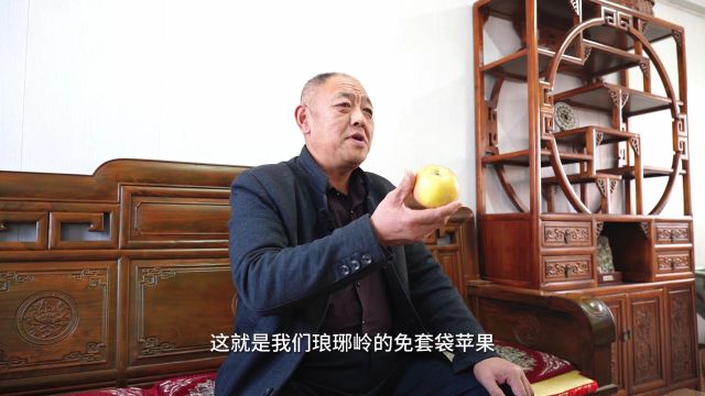 “烟台果业领军人物”系列访谈——莱州市琅琊岭小龙农产品农民专业合作社王景波