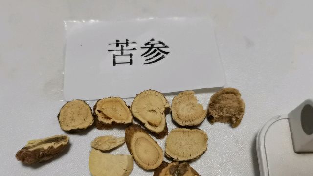 中医药传承, 让我们每天了解一味中药吧:苦参/需在医生指导下使用