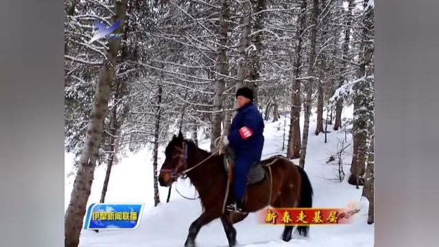 新春走基层 | 守护绿水青山的森林卫士