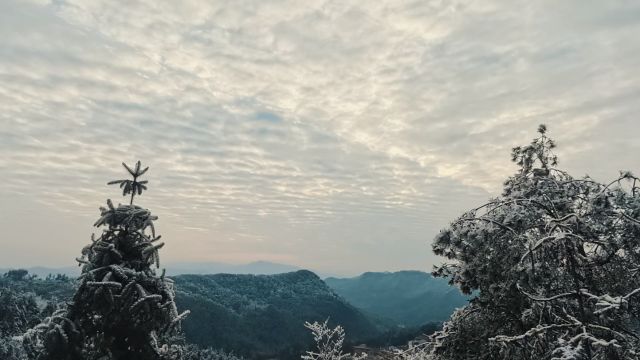 满目山河空念远,落雪时节正逢春.