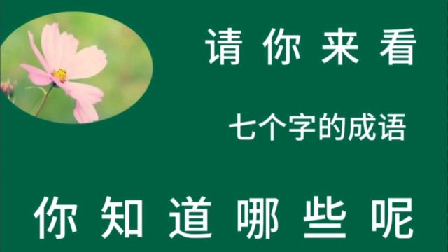 请你来看 七个字的成语 你知道哪些呢