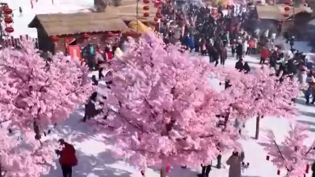 吉林白山:松花江上玩冰雪,“雪谷市集”年味浓