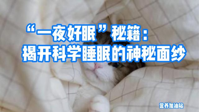 “一夜好眠”秘籍:揭开科学睡眠的神秘面纱