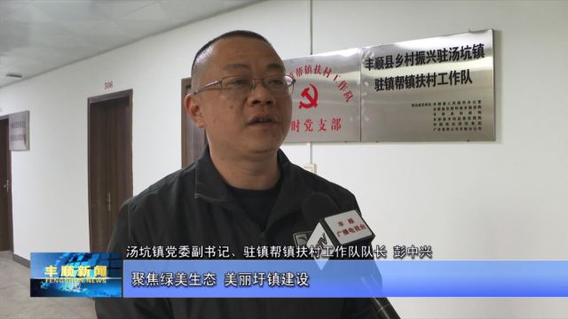 3新春走基层|汤坑镇驻镇帮镇扶村工作队