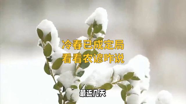 冷春已成定局,究竟是啥原因,看看农谚怎么说